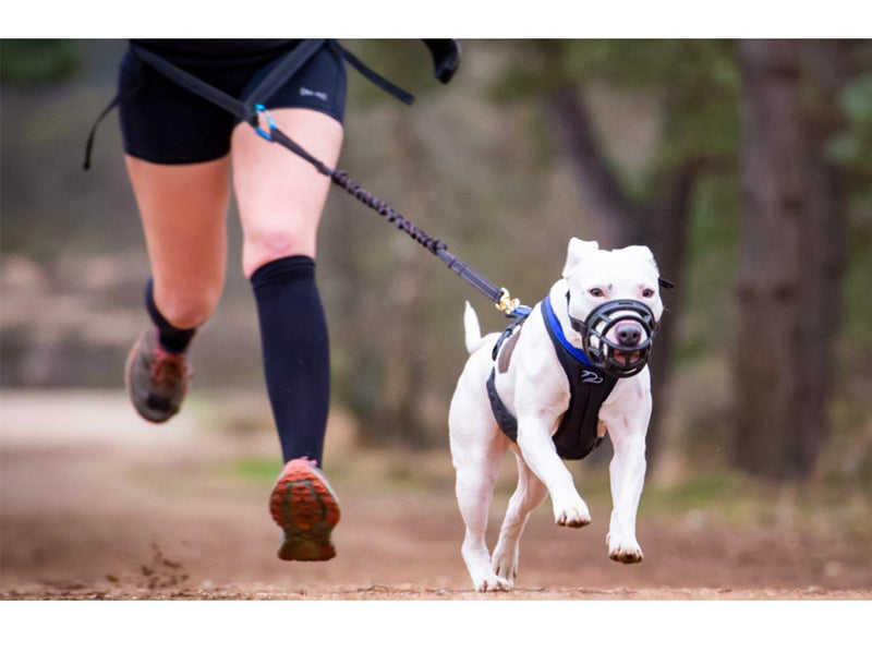 Mayerzon Dog Muzzle, Basket Breathable Silicone Dog Muzzle for Anti-Barking and Anti-Chewing Size2-9/3.2in Black - BeesActive Australia