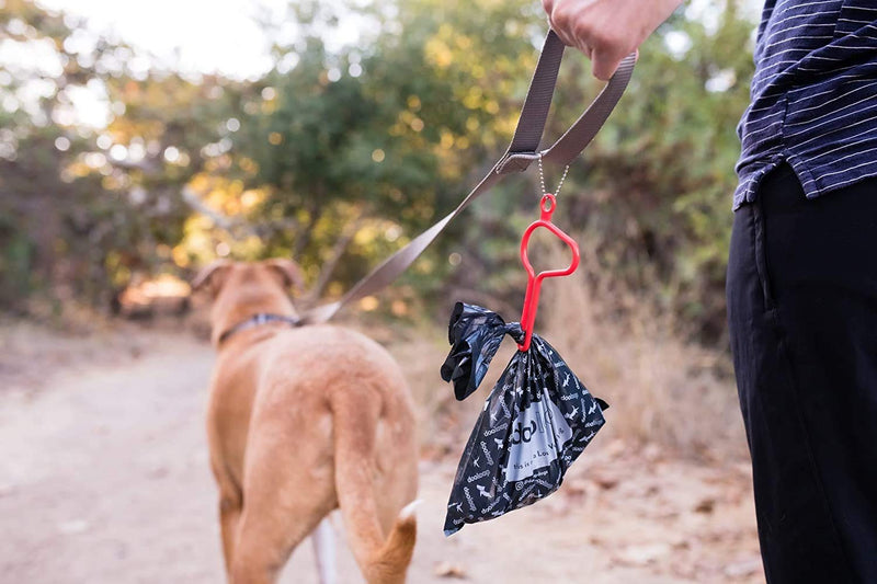 The dooloop Hands Free Dog Poop Holder - Carry Pet Waste Bag with Attachable Leash Accessory for Dog Walking. Now Made with Recycled/Recyclable Plastic. Made in Maine, USA 1 Count (Pack of 1) Gray - BeesActive Australia