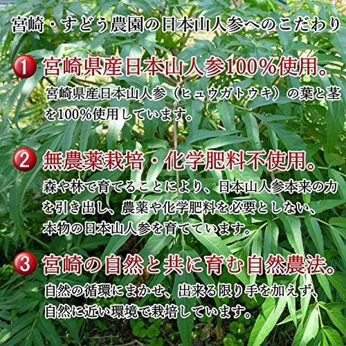 Japanese Mountain Ginseng Hyuga Touki Hyuga Toki Supplement 30 tablets Trial Made in Miyazaki Prefecture Pesticide-free [Limited to 3 bags per person for first time purchase] Hyuga Toki Supplement/Hyu - BeesActive Australia