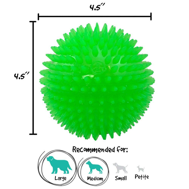 Gnawsome 4.5” Spiky Squeak & Light Ball Dog Toy - Extra Large, Cleans teeth and Promotes Dental and Gum Health for Your Pet, Colors will vary - BeesActive Australia