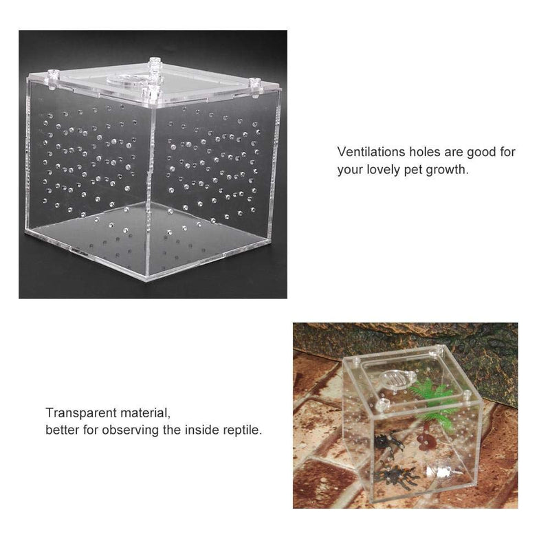 ViaGasaFamido Transparent Reptile Insect Viewing Box, Live Food Storage Acrylic Reptile Breeding Box for Spider Crickets Snails Tarantulas Geckos 3.9x3.9x3.5inch - BeesActive Australia