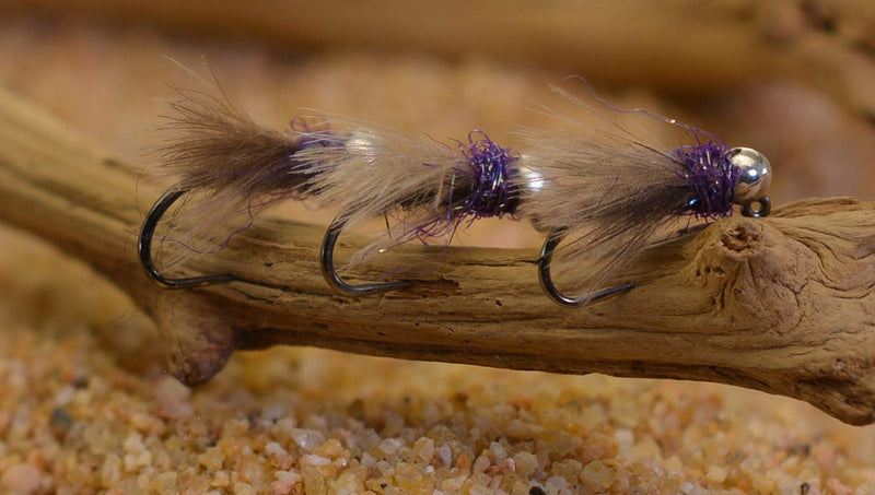 Tungsten Purple Hot Spot Jig Head Fly Euro Nymph Tied on Hanak Hooks - 6ct Packs Hook #12 - BeesActive Australia
