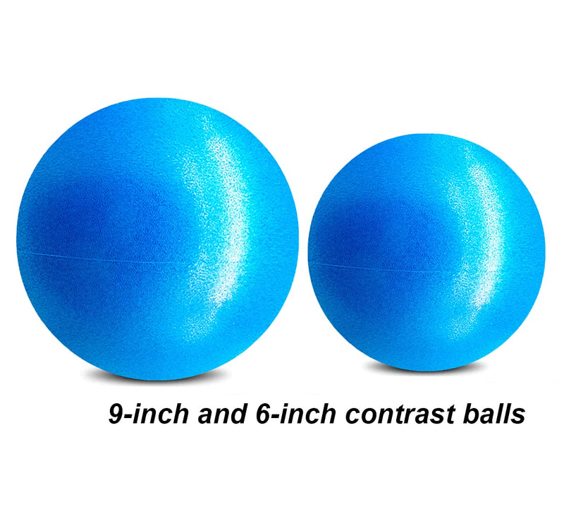 6 Inch Exercise Pilates Mini Yoga Balls Barre Small Bender for Home Stability Squishy Training Physical Therapy Improves Balance with Pump Blue 6 Inch - BeesActive Australia