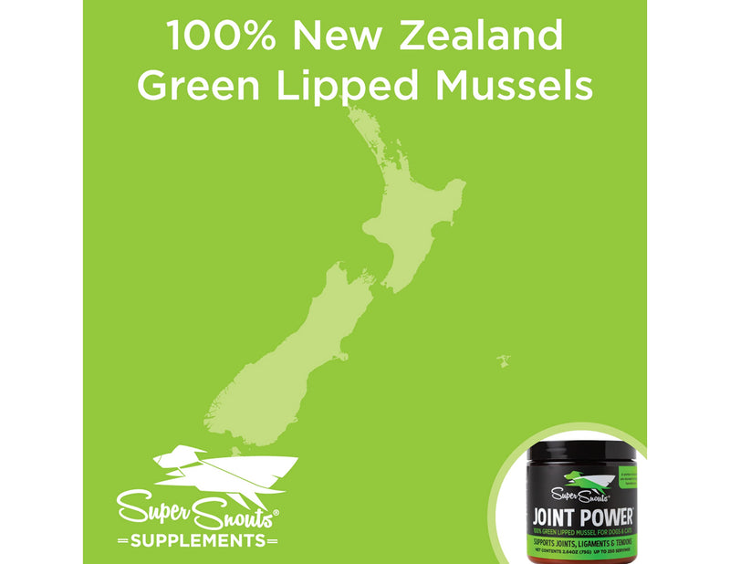 Super Snouts Joint Power 100% Green Lipped Mussels for Dogs & Cats - Dog Joint Supplement Powder Supports Joints, Tendons, Ligaments 5.29 oz (Pack of 1) - BeesActive Australia