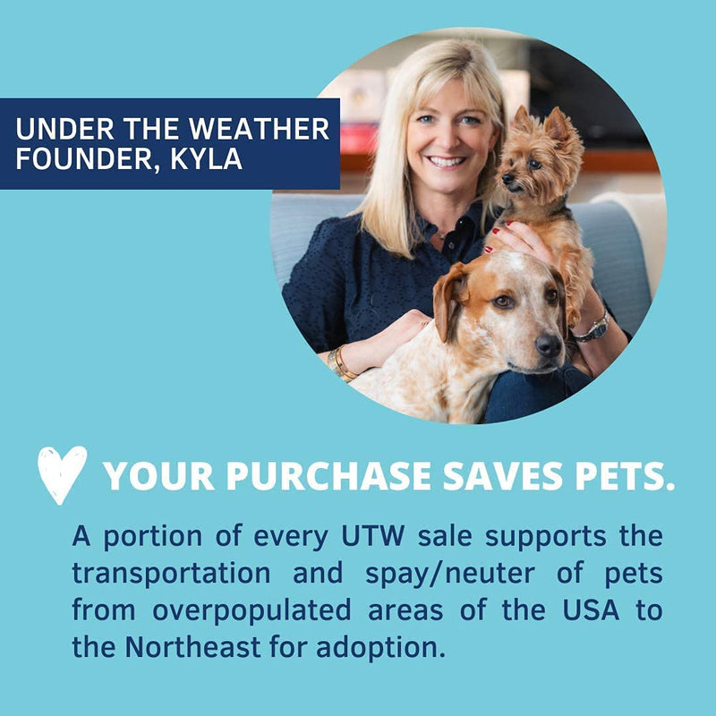 Under the Weather Easy to Digest Bland Dog Food Diet for Sick Dogs | Contains Electrolytes - Gluten Free, All Natural, Freeze Dried 100% Human Grade Meats | 6 Pack - Rice, Chicken & Bone Broth Rice, Turkey & Sweet Potato 6 Ounce (Pack of 2) - BeesActive Australia