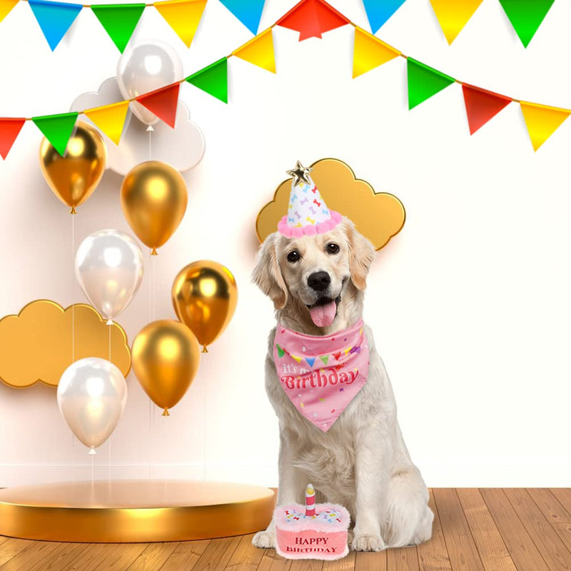 EXPAWLORER Dog Birthday Party Supplies - Cute Dog Birthday Hat, Birthday Bandana Scarf, Festive Birthday Cake Dog Squeaky Chew Toy, Dog Themed Birthday Party Supplies Gift Pink - BeesActive Australia