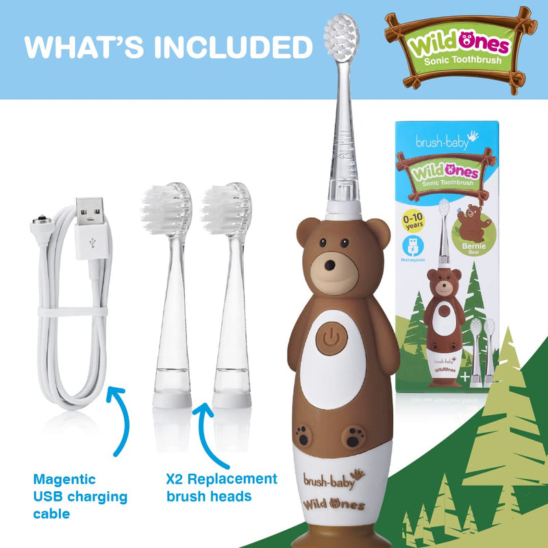 Brush-Baby WildOnes Kids Electric Rechargeable Toothbrush Bear, 1 Handle, 3 Brush Head, USB Charging Cable, for Ages 0-10 (Bear) - BeesActive Australia