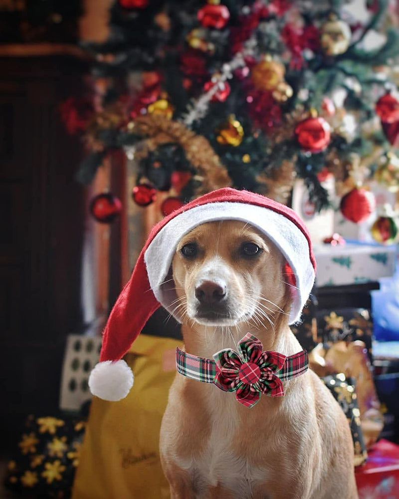 Elegant little tail Flower Girl Dog Collar for Female Dogs, Pet Collar Adjustable Dog Collars with Flower Gift for Small Medium Large Dogs Collar&Flower-S Christmas Plaid - BeesActive Australia