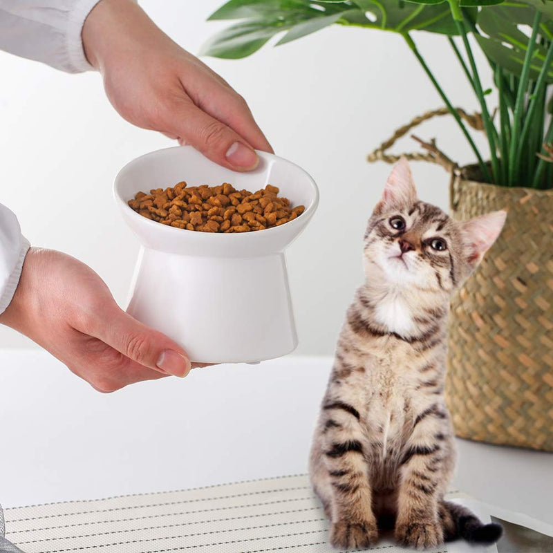 Small Ceramic Raised Cat Bowls, Tilted Elevated Food or Water Bowls , Stress Free, Backflow Prevention, Dishwasher and Microwave Safe, Lead & Cadmium Free White - BeesActive Australia