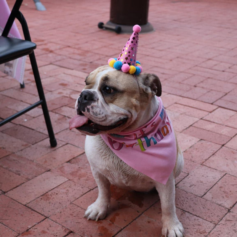 PUPTECK Dog Birthday Bandana Scarfs with Cute Doggie Birthday Party Hat Large Pink - BeesActive Australia