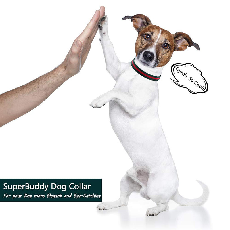NISIYE Premium Dog Collar, Soft Comfortable Dog Collars in Luxury Style, Durable Adjustable Dog Collar with Metal Buckle Safety for Small Medium Large Dogs M (Neck Girth:11.8"-17.7", Width:3/4") - BeesActive Australia