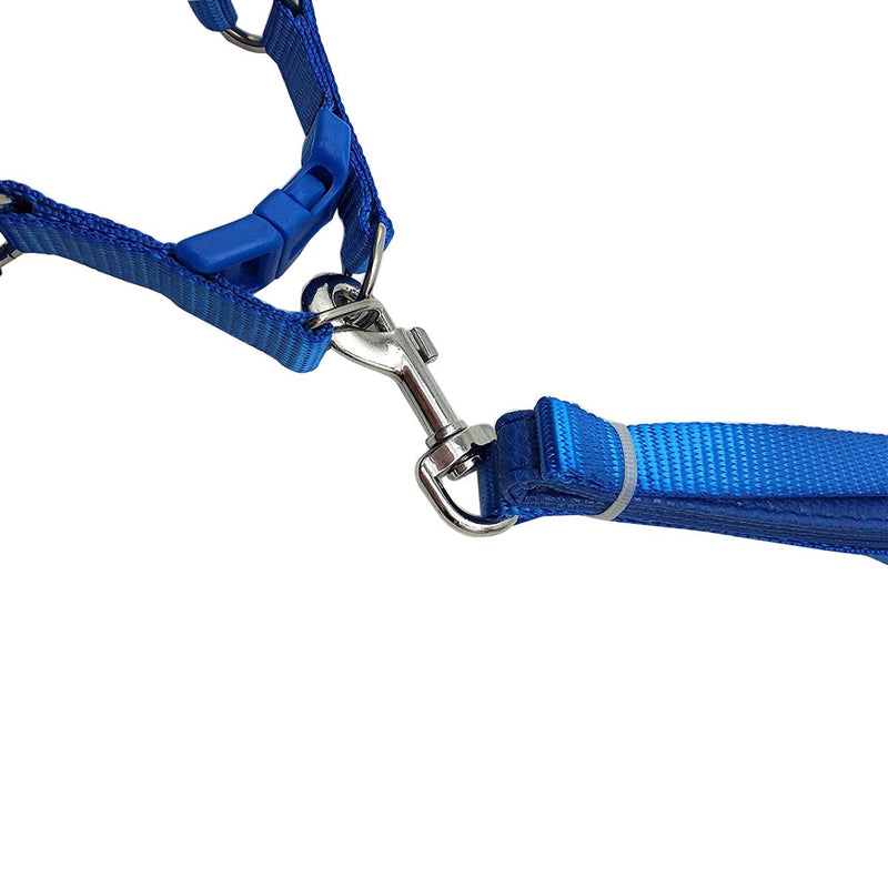Bird Harness and Leash Amazon Cockatoo Harness Safe Adjustable Nylon Anti-bite Training Hraness Outside Walk for Large Bird Parrot Macaw Color Random L CHEST 13.78-21.65" - BeesActive Australia