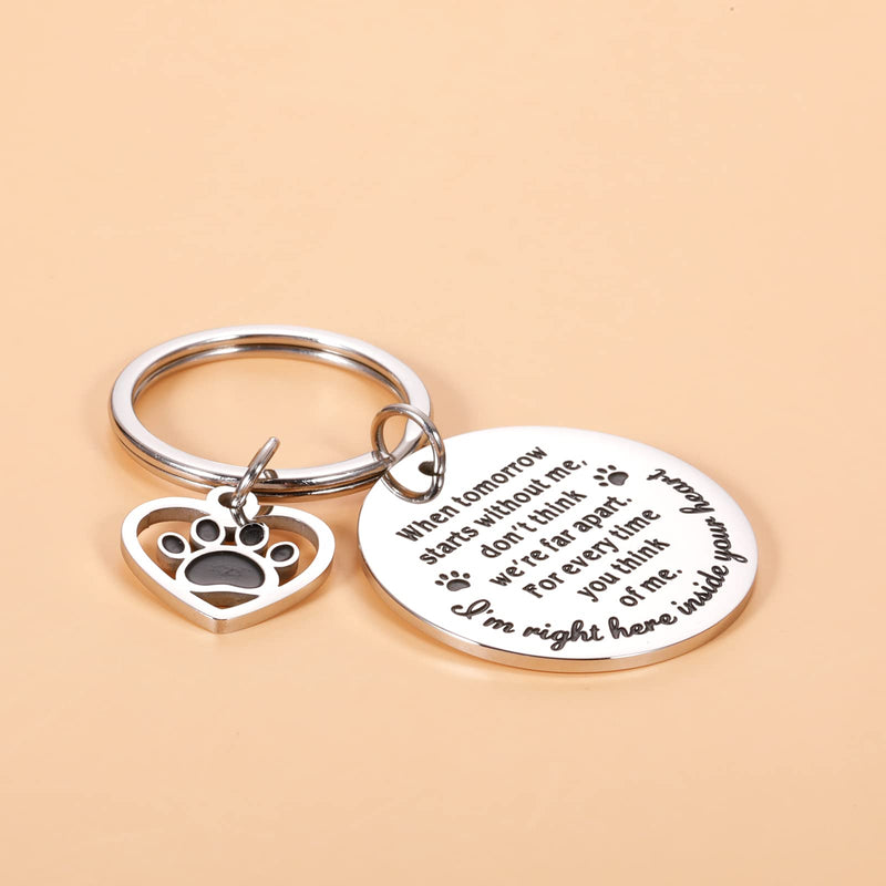 Pet Memorial Gifts, Dog Cat Remembrance Keychain, Loss of Dog Cat Sympathy Gifts Silver - BeesActive Australia