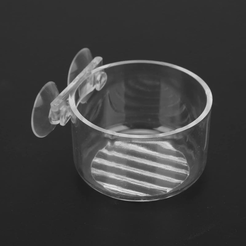 Fish Tank Feeding Cone Cup Aquarium Cone Red Worm Feeder Fish Tank Brine Shrimp Feeder - BeesActive Australia