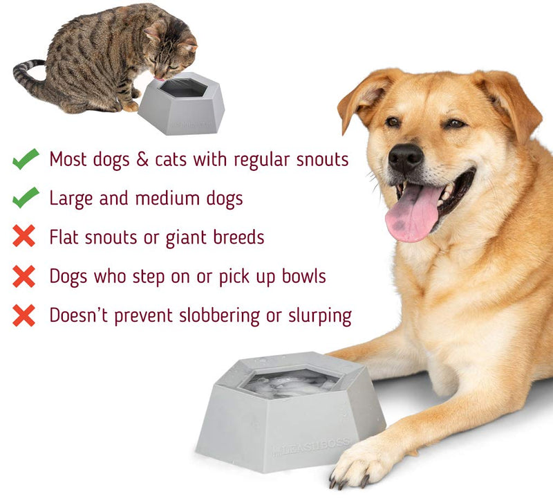 Leashboss Splashless Travel Dog Water Bowl - Large 40oz Capacity, No Spill Portable Silicone Car Dish Grey - BeesActive Australia