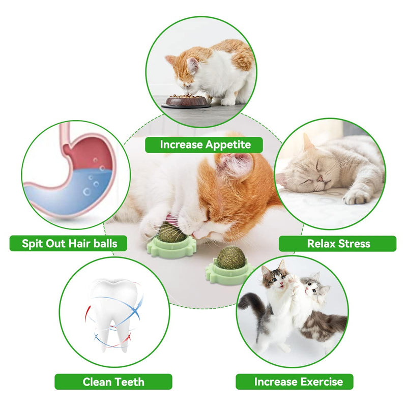Aucenix 2 Pcs Catnip Balls Toy for Cat Green-2 pcs - BeesActive Australia
