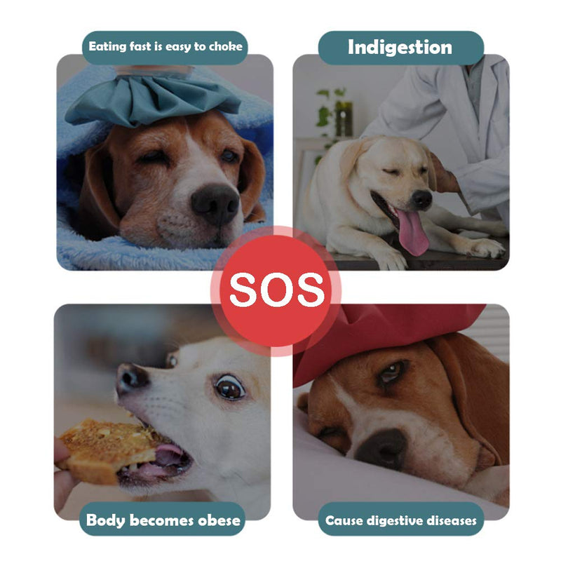 Slow Feeder Dog Bowls Slow Feeding Dog Bowl Small Medium Breed Dog Food Bowls Slow Feed Dog Bowl Slow Eating Dog Slow Feeder Bowl Puppy Dog Puzzle Slow Feeder Eater Bowl Lick Mat Treat Mat for Dogs 6.Blue - BeesActive Australia