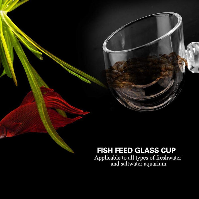 Aquarium Worms Feeder Live Red Worm Feeding Cone Cup Transparent Acrylic Fish Tank Brine Shrimp Feeder Crystal Glass Plant Feeding Container Holder with Suction Cups - BeesActive Australia