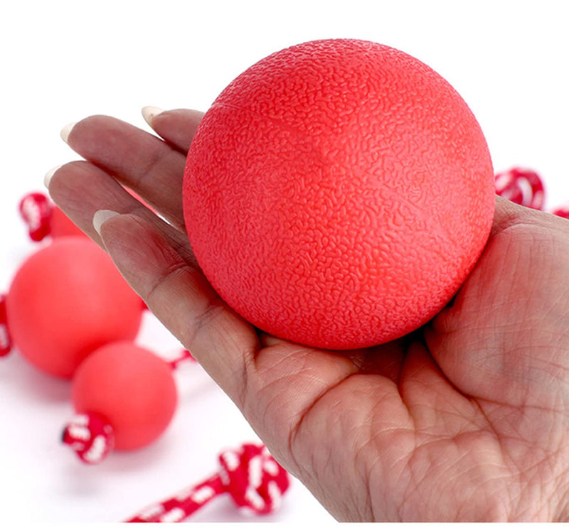 EDMISU Dog Leash Toys with Large Balls 2 Pack Dog Chew Toys Puppy Teething Toys Training Balls with Leash Exercise Toys for Large Medium Dogs - BeesActive Australia