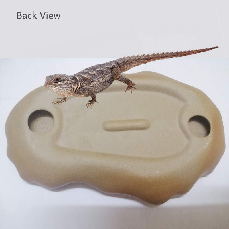 Fuongee Reptile Feeding Dish Bowl Food and Water Bowl Tortoise Dish Reptile Tank Decor, Heavy Duty Ceramic Feeding Dish, Leaf Shaped - BeesActive Australia