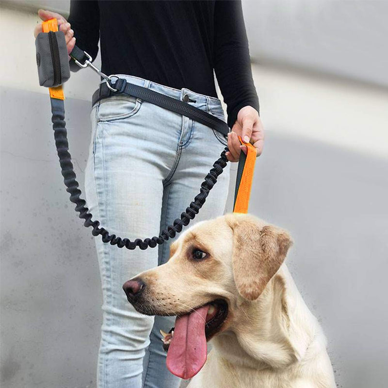 SLSON Pet Waste Bag Dispenser Zippered Pouch,Portable Dog Poop Bag Holder Leash Attachment Lightweight Fabric Bags Dark Grey - BeesActive Australia