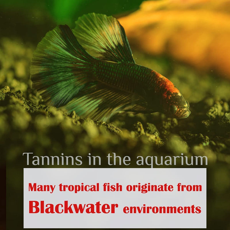 Premium Indian Almond Leave. Aquarium Decorations Size 6-9" Pack 50g(20-25 Leaves). Catappa Leaves Rich in Tannin. Superb to be Health Better, Vitality, Succesful Breeding! of Shrimp & Betta Fish Tank - BeesActive Australia