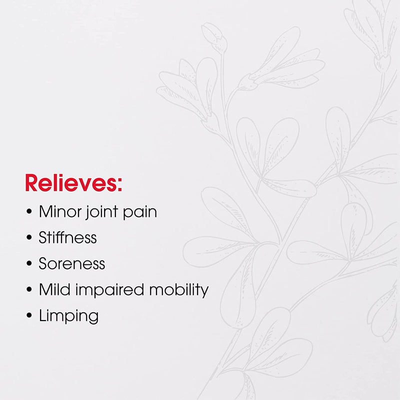 MediNatura T-Relief Pet Arthritis Pain Relief Arnica +12 Powerful Natural Medicines Help Reduce Hip & Joint Pain, Soreness & Stiffness - Fast-Acting, Alcohol-Free Soother for Dog & Cat - 1.69 oz - BeesActive Australia