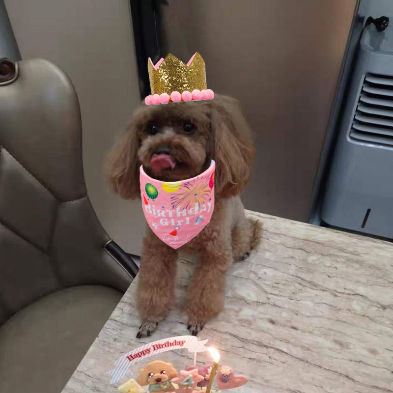 ADOGGYGO Dog Birthday Bandana Hat Set Dog Puppy Birthday Party Supply Dog Bandana Boy Girl Puppy Birthday Hat Scarf for Small Medium Dog Pet Pink - BeesActive Australia