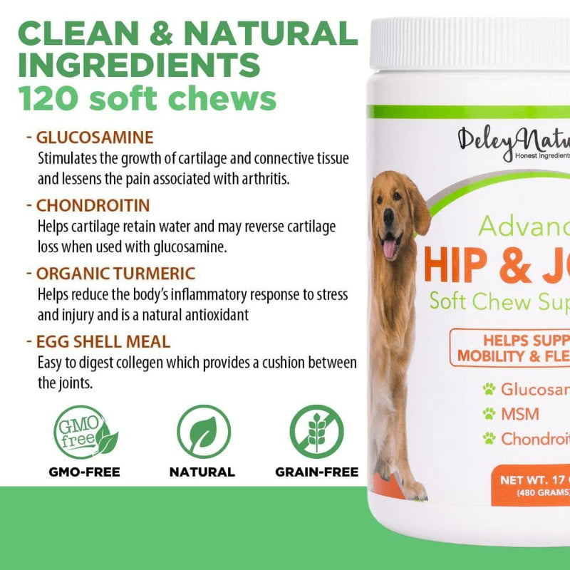 Deley Naturals, Advanced Arthritis Pain Relief for Dogs, Glucosamine Chews for Dogs with Chondroitin, MSM and Organic Turmeric, Made in USA Dog Treats, 100% Natural, 120 Soft Chews - BeesActive Australia