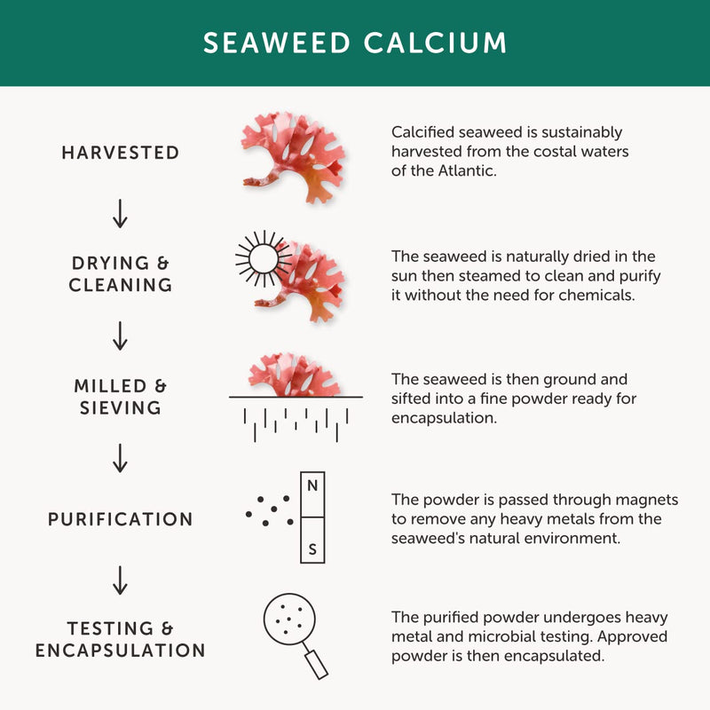 Calcium � Together Health � Seaweed-Based Calcium � 72 Trace Minerals � Vegan Friendly � Made in The UK � 60 Vegecaps Unflavoured 60 Count (Pack of 1) - BeesActive Australia
