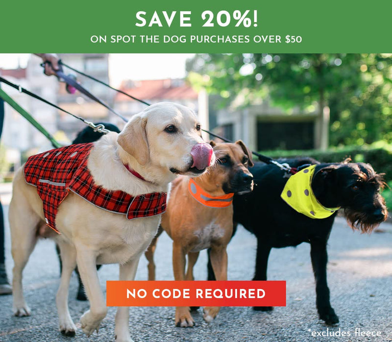 SPOT THE DOG! Reflective Collar Band Safety Apparel for All Dogs - Easy Fastening Closure, High Visibility Fluorescent Orange X-Large - BeesActive Australia