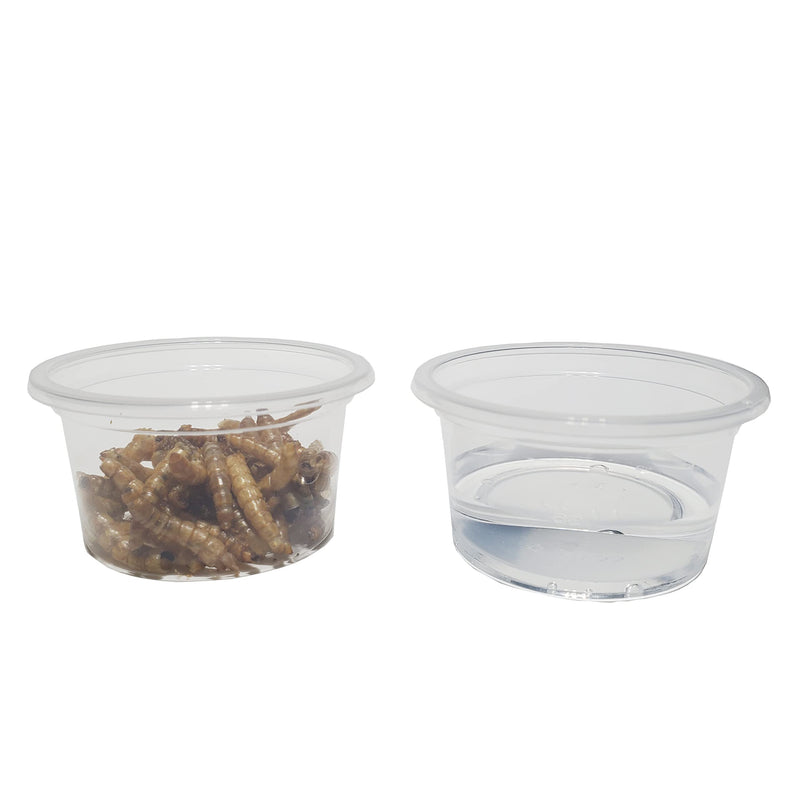 MRTIOO Enhanced Crested Gecko Feeding Ledge , Reptile Food Bowls and Water Dish for Lizard Or Other Small Pet Amphibian Ledge Accessories Supplies, with 1oz Plastic Feeding Cups 1oz 100 cups - BeesActive Australia