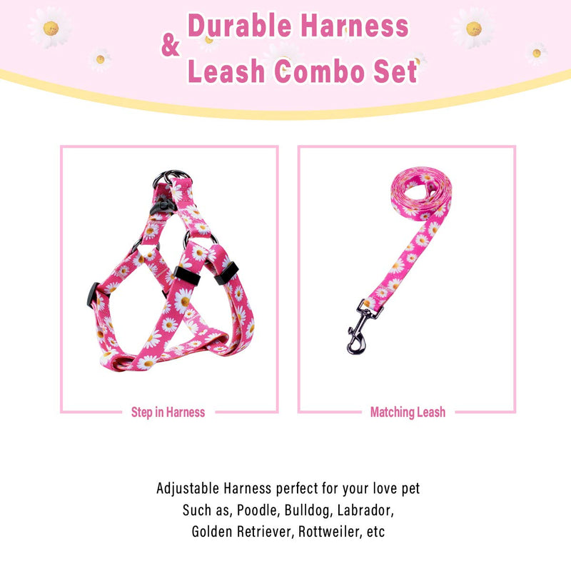 QQPETS Dog Harness Leash Set Adjustable Heavy Duty No Pull Halter Harnesses for Small Medium Large Breed Dogs Back Clip Anti-Twist Perfect for Walking XS(12"-18" Chest Girth) Daisy - BeesActive Australia