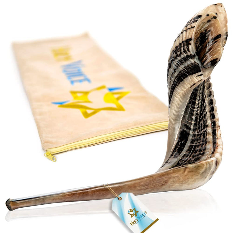 Handcrafted Kosher Ram Shofar from Israel – 16"-18" Musical Horn with Shofar Bag – Decorative, Functional Jewish Gifts for Women & Men by Holy Voice, Half Polished 16"-18" - BeesActive Australia