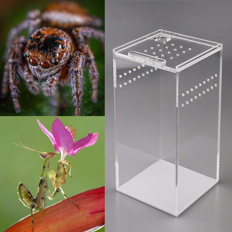 NANEEZOO Magnetic Acrylic Case, 2.9x2.9x6 Inch Nano Arboreal Tarantula Enclosure Reptile Habitat Terrarium Breeding Box for Spider Scorpion Sling Isopods Lizards Invertebrates Insect Mantis - BeesActive Australia