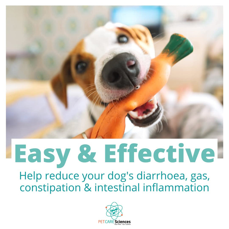 PET CARE Sciences Approx 120 Servings of Dog Probiotic Powder - Dog Probiotics and Digestive Enzymes - Enzyme Supplement for Dogs - Dog Digestive Support - Made in The USA - BeesActive Australia