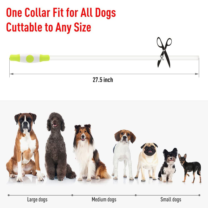 Vizbrite LED Dog Collar, USB Rechargeable Light Up Dog Collars, Glow Safety Basic Dog Collars for Night Walking, Waterproof Collar for Small Medium Large Dogs GREEN - BeesActive Australia