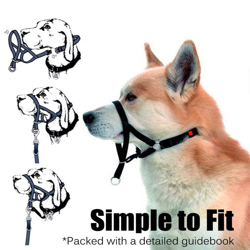 Dog Head Collar, No Pull Training Tool for Dogs on Walks, Includes Free Training Guide, 5 XL Black - BeesActive Australia