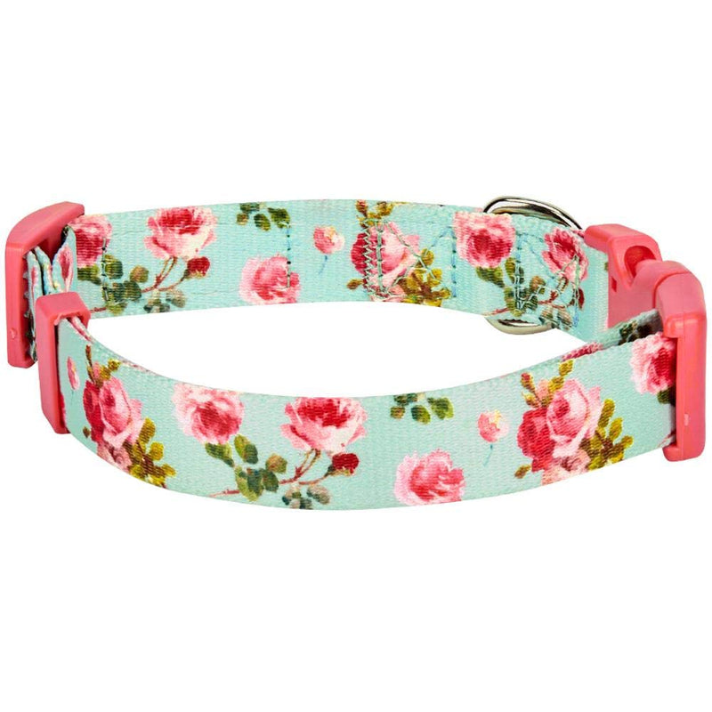 Blueberry Pet 10+ Patterns Spring Scent Floral Dog Collars, Personalized Collars X-Small Turquoise - BeesActive Australia
