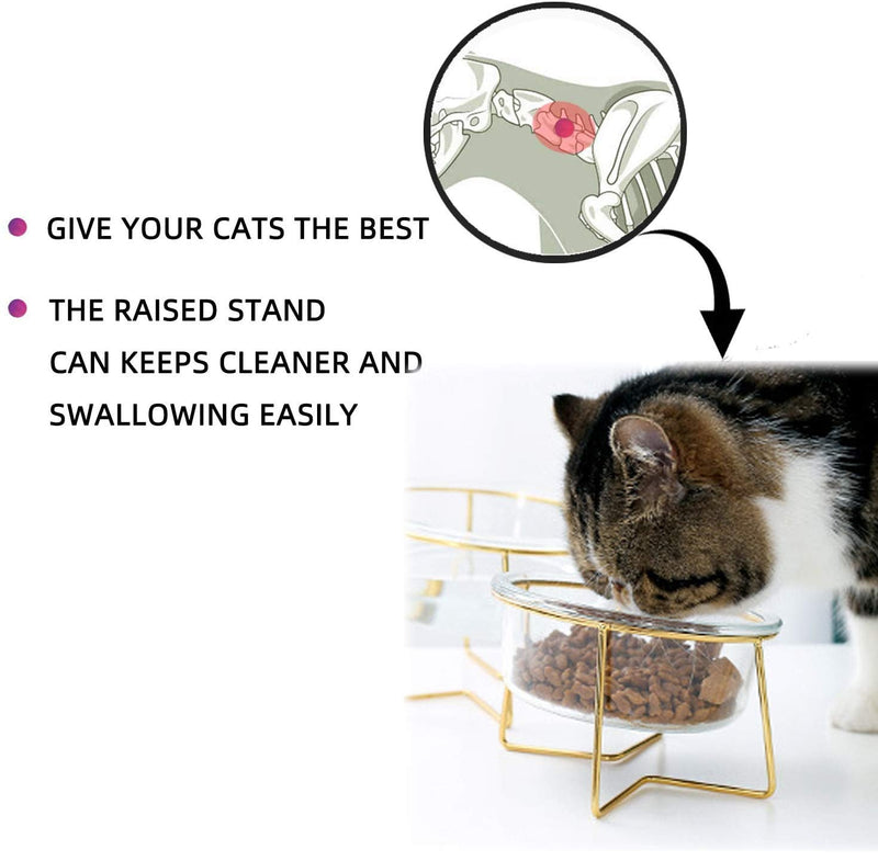 Glass Raised Cat Bowls or Small Dog Dishes with Gold Metal Stand,Anti Vomiting Tilted Transparent Pet Bowl, Elevated Food or Water Bowl Set with Grey Silicon Clouds Waterproof Mat 1 x 20oz bowl+1 mat - BeesActive Australia