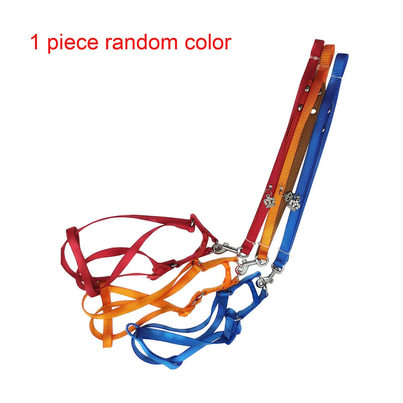 Bird Harness and Leash Amazon Cockatoo Harness Safe Adjustable Nylon Anti-bite Training Hraness Outside Walk for Large Bird Parrot Macaw Color Random L CHEST 13.78-21.65" - BeesActive Australia