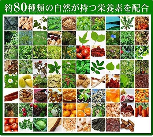 SeedComs Wild Plant Enzyme Supplement, Vegetables, Wild Plants, Fruits, Fermentation, Aging, Diet, Approx. 3 Month Supply, 90 Capsules) - BeesActive Australia