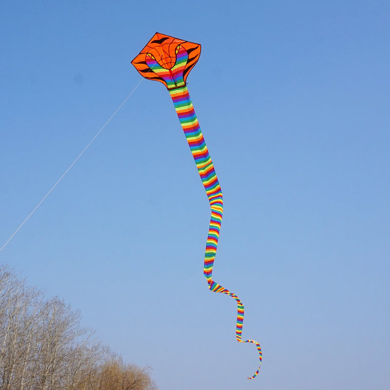 [AUSTRALIA] - Besra 16m Large Cobra Snake Kite 52ft Colorful Rattlesnake Kite with 15m Long Tails Outdoor Fun Sports with Flying Tools Rainbow 