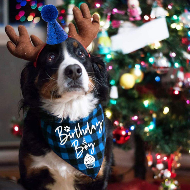 family Kitchen Classic Blue Plaid Pet Puppy Dog Bandana with Dog Birthday Party Hat Accessories, Boy Dog Birthday Bandana Scarf Bibs for Pet Birthday Outfit Party Supplies Set - BeesActive Australia