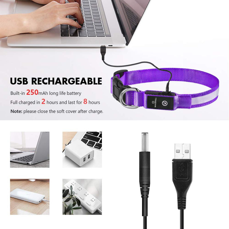 MASBRILL Light Up Dog Collar, LED Glow Collar with USB Rechargeable Lighted Bright Purple Dog Flashing Collar Waterproof, 4 Colors with 3 Sizes for Small Medium Large Dogs M(0.98*19.69") - BeesActive Australia