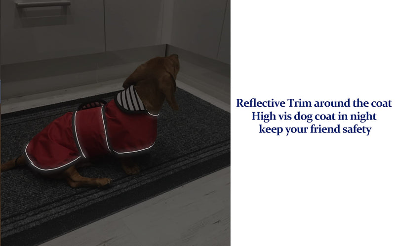Dachshund Raincoat Waterproof, Perfect for Dachshund Sausage Weiner Dog Rain Gear with Reflective Trim and Adjustable Bands Dog Clothing in Autumn and Winter Medium(Back: 17"-18"in) Red - BeesActive Australia