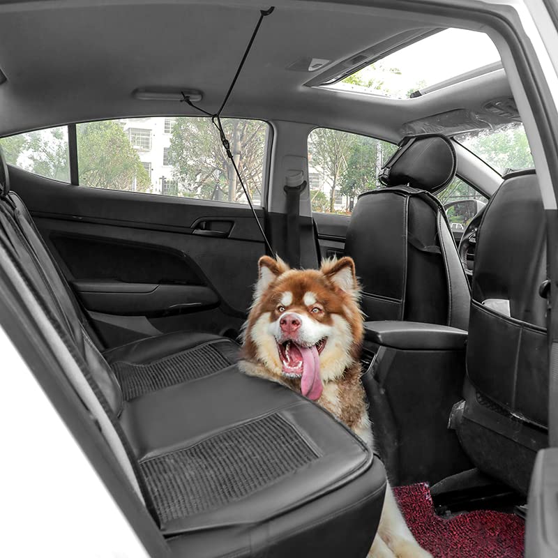 Mi Metty Dog Seatbelt, Dog Car Harnesses, Back Seat Leash Made of Coated Wire Rope, Happy Ride Dog Zipline, Great for Travel, Safety Restraint No-Chew Tether Cable Stainless Steel. - BeesActive Australia