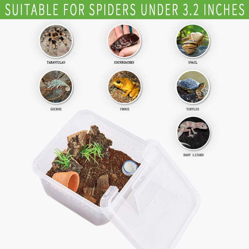 PETLAOO Critter Keeper，Mini Insect Carrier, Portable, Ventilated, Enough Viewing Space, with 5 Accessories, Suitable for Spiders, Geckos, Cockroaches, Snails, Hermit Crabs Flowerpot - BeesActive Australia