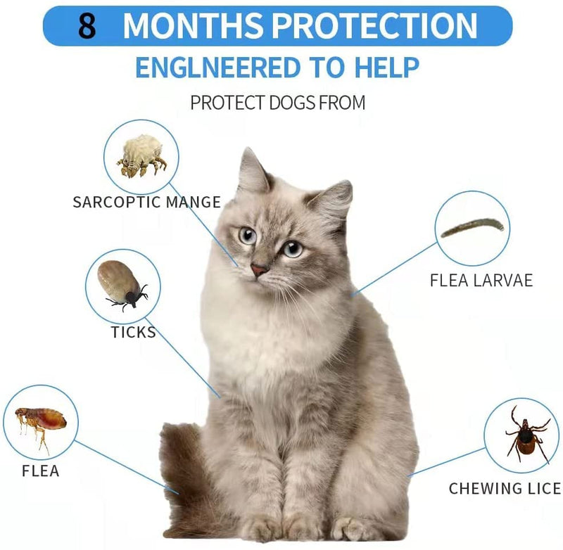 Advanllent Flea Collar for Cats, Flea and Tick Collars for Cats and Kittens, 8 Month Protection, Gray - BeesActive Australia