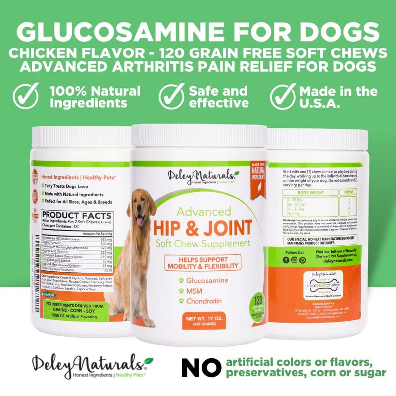 Deley Naturals, Advanced Arthritis Pain Relief for Dogs, Glucosamine Chews for Dogs with Chondroitin, MSM and Organic Turmeric, Made in USA Dog Treats, 100% Natural, 120 Soft Chews - BeesActive Australia
